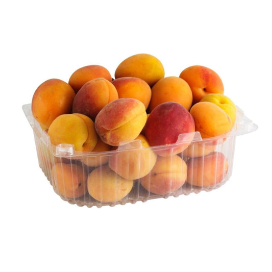 Apricot / مشمش