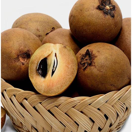 Chikoo / حُلقُوم