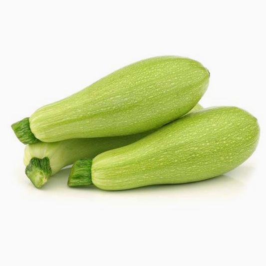 zucchini / كوسة