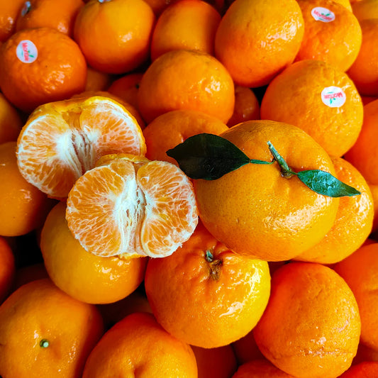 Sweet Mandarin / ساندرا الحلوة