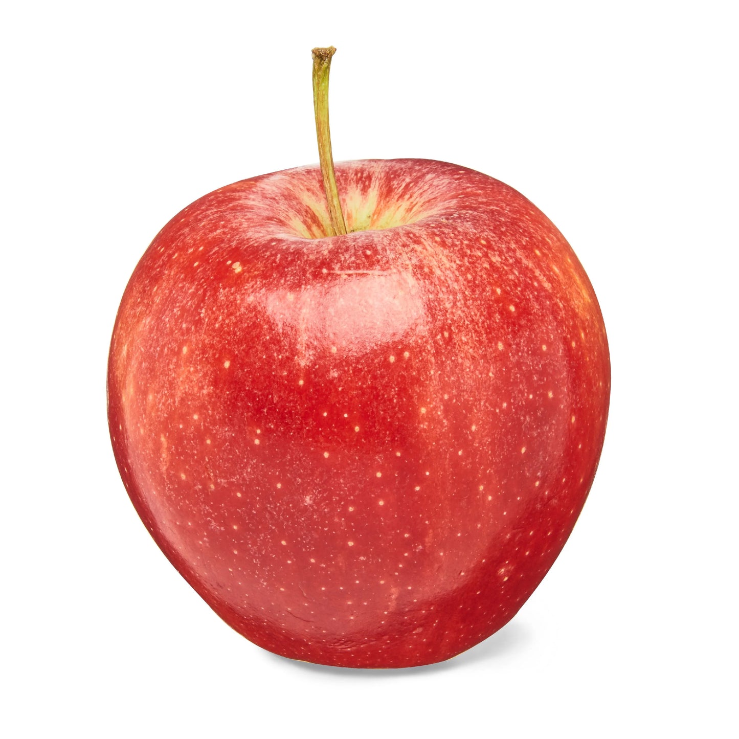Apple / تفاحة