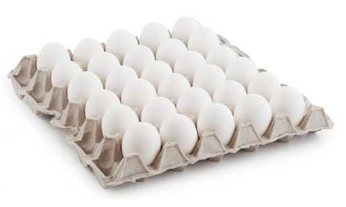 Egg / بيضة