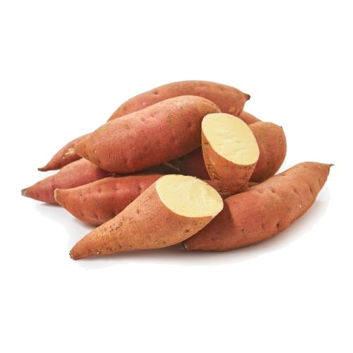Sweet Potato / البطاطا الحلوة