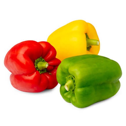 Capsicums / (bell pepper) فليفلة